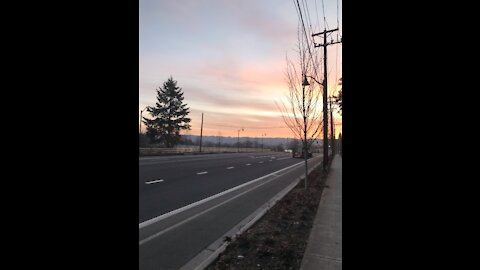 The NIV bible reading: Numbers 13:1-33 and Romans 12:1-21