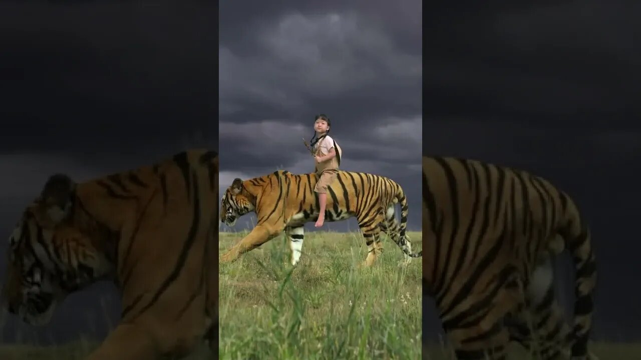 A real big tiger is so cool to ride