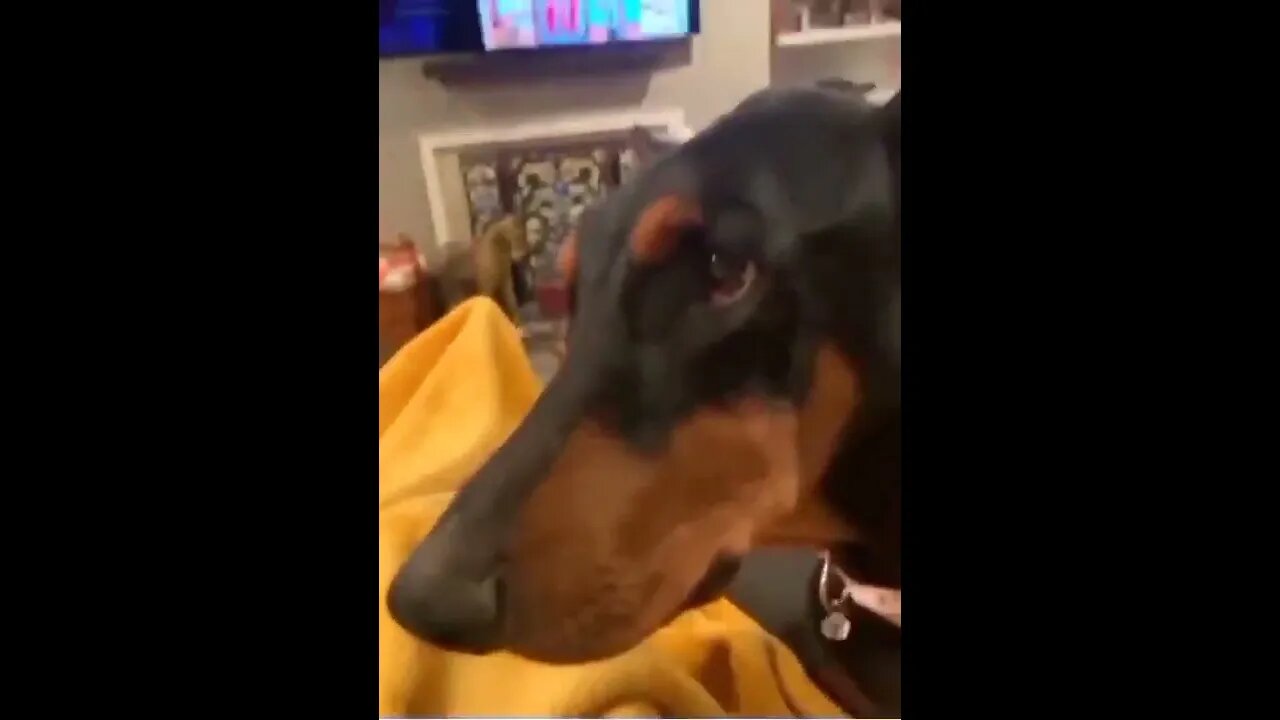 "Let's Go Play"