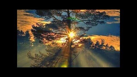 CHRZTY 2021 - KTO MOŻE SIĘ OCHRZCIĆ I CO JEST WYMAGANE.