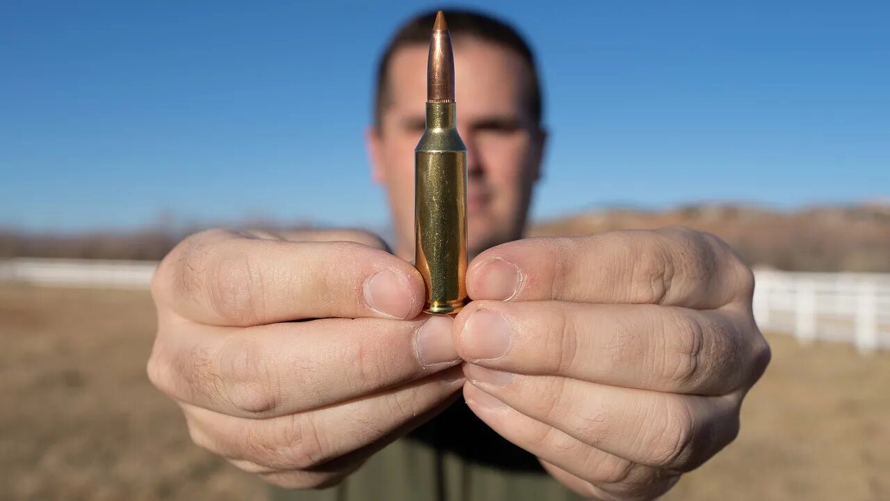 6.5 Caliber Cartridges: Creedmoor vs PRC vs Weatherby vs Nosler