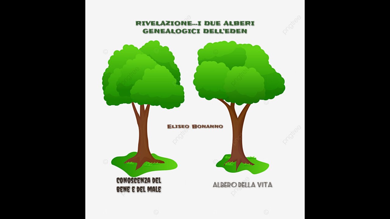 RIVELAZIONE...I DUE ALBERI GENEALOGICI L'UOMO DEL 6° GIORNO