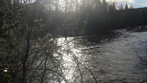 Clackamas River on a warm winter day