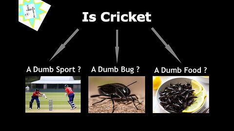 Dumb Obvious Question #2. Is Cricket a Dumb Sport?, Dumb Insect?, or Dumb Food?