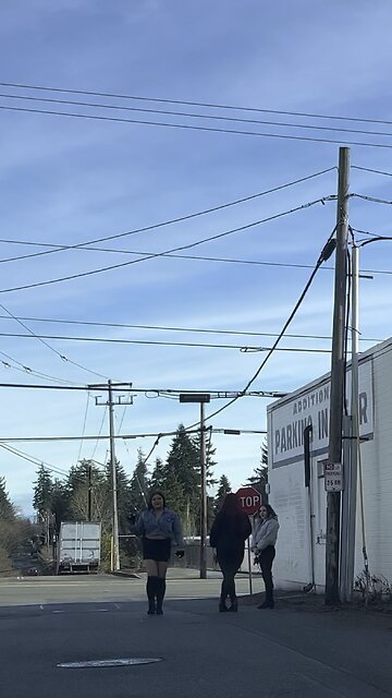 Lizards on the stroll like Figueroa