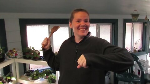 Spatula Distaff