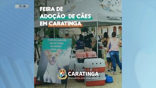 Feira de adoção: evento será realizado em Caratinga nesta sexta-feira de 8 horas às 14 horas