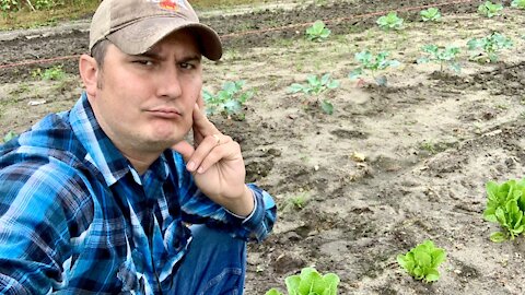 Garden update: WE NEED HELP!