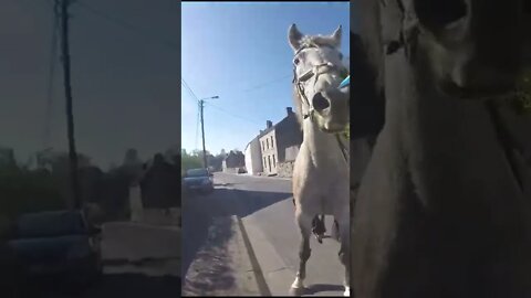 biker was chasing the horse for the owner...