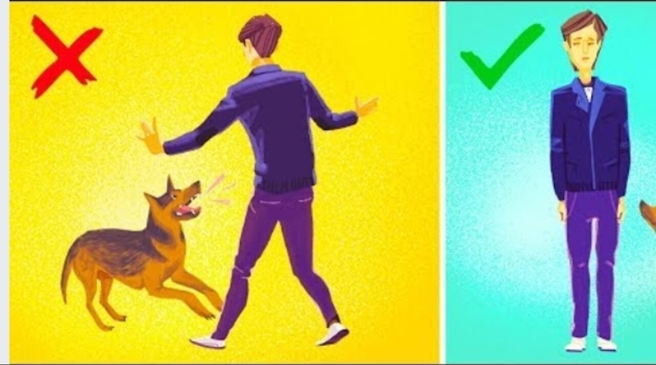How to survive in a dog attack