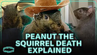 Peanut the Squirrel Death OUTRAGE: What It Means for the Animal Rights Movement