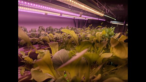 Why Hydroponics ?