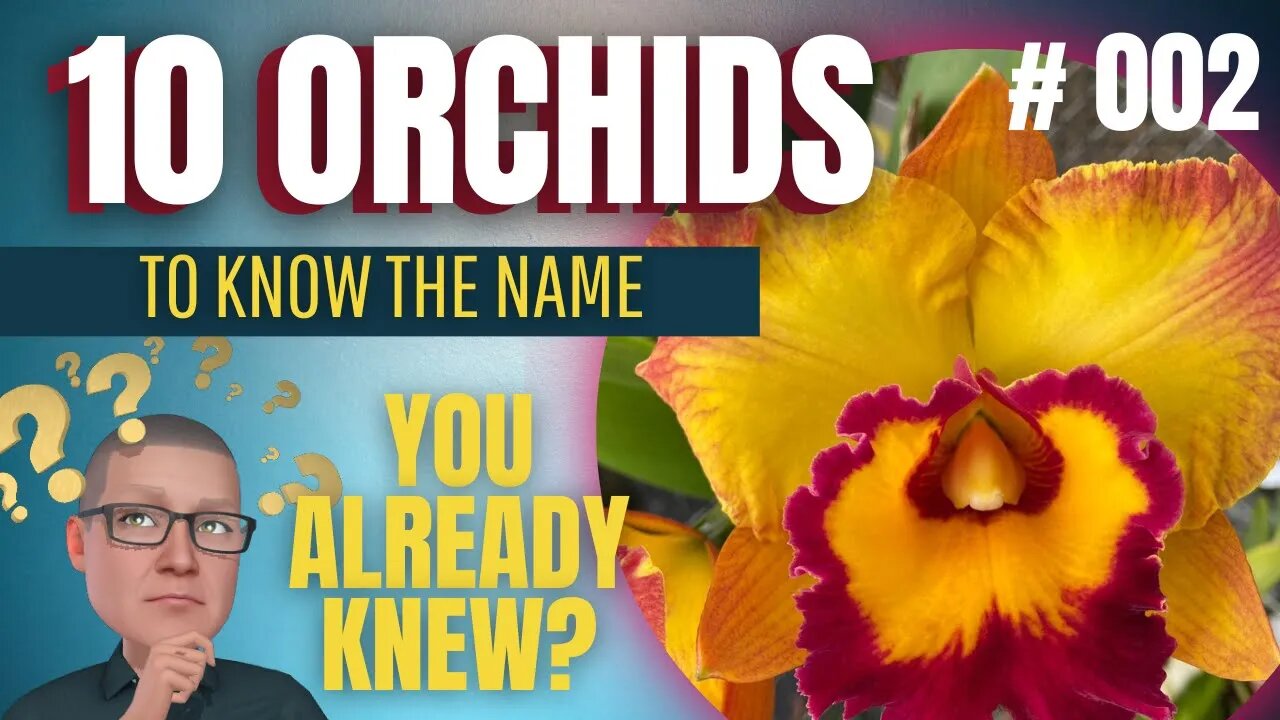 HOW TO KNOW THE NAME OF ORCHIDS | LEARN WITH FUN | # 002