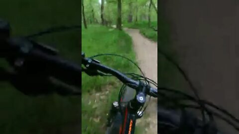 MTB in springtime #mtb #biking #midwest #shred