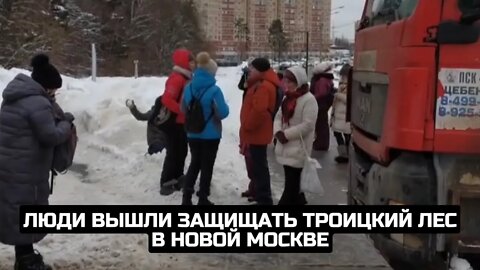 Люди вышли защищать Троицкий лес в Новой Москве / LIVE 08.02.22