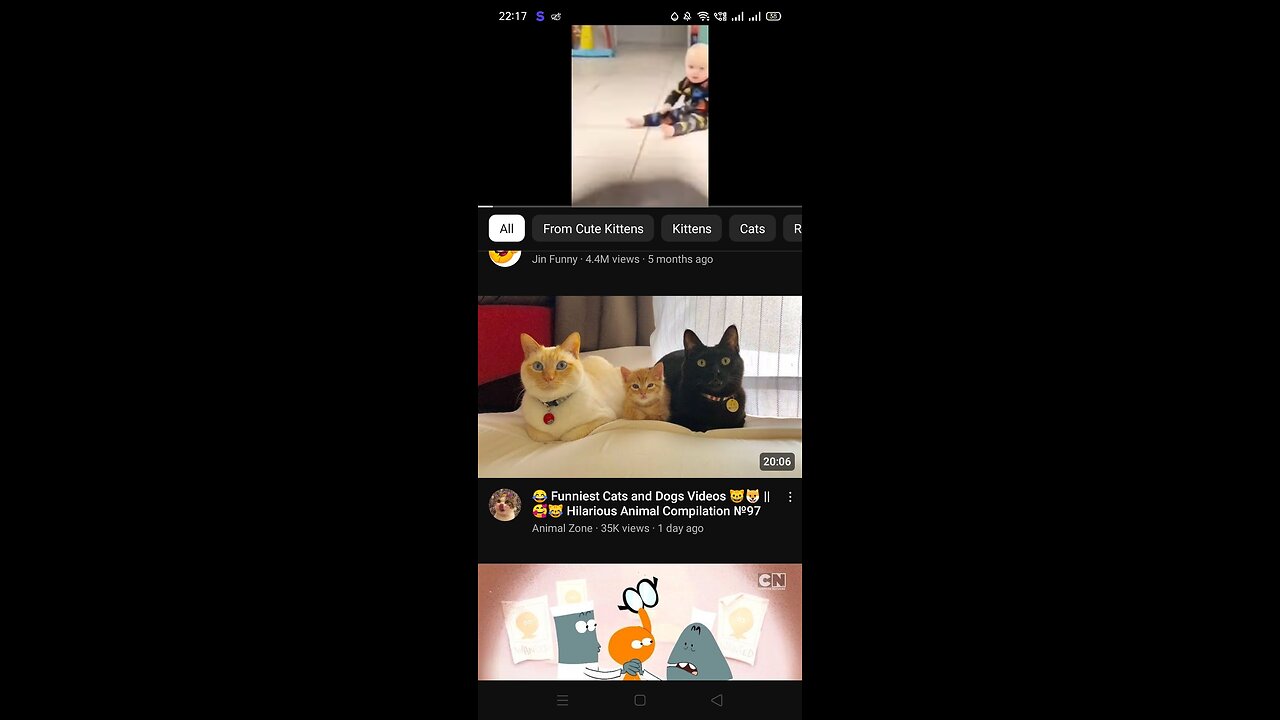 Cat funny moments in 2023