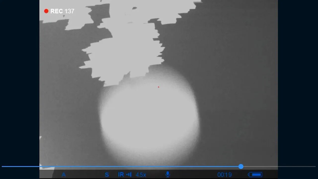 Orb captured between me and the tree . Very close and clear.