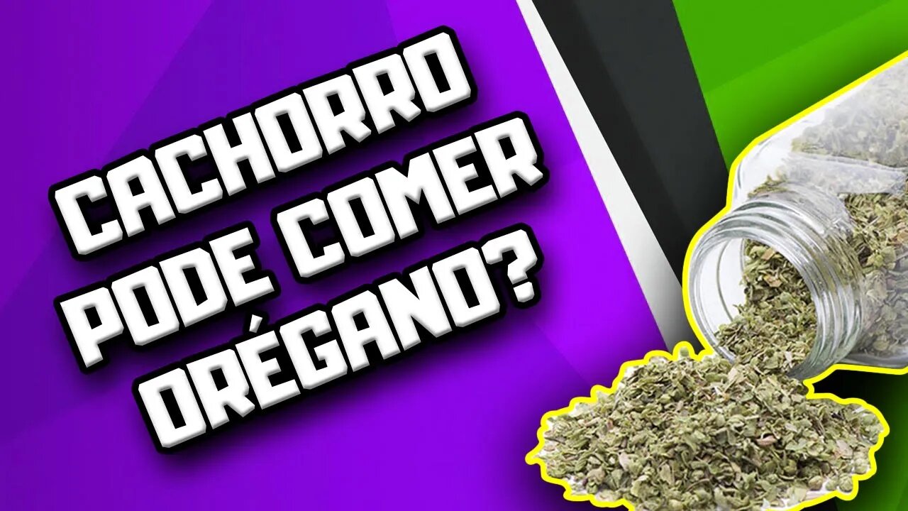 Cachorro pode comer Orégano? | Dr. Edgard Gomes | Alimentação natural para Cães