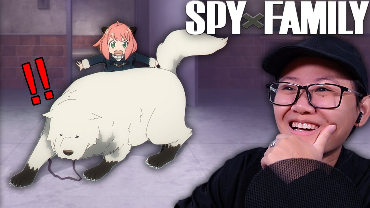 Spy x Family EP 13 Reaction