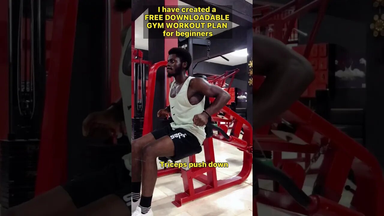 Gym Workout Plan for Beginners #shorts #workoutplan #gym