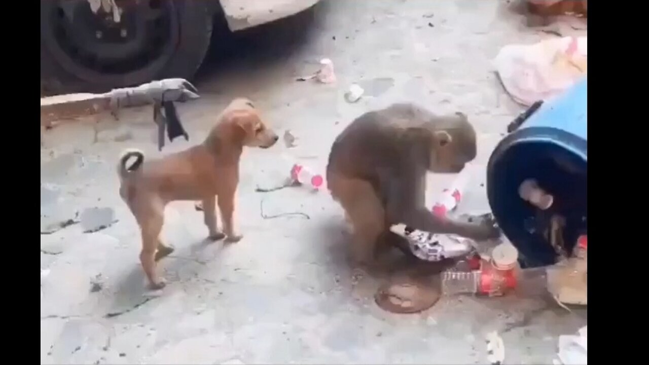 Funny video🤣🤣🤣