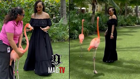 Tamar Braxton Does NOT Trust The Flamingos In The Bahamas!