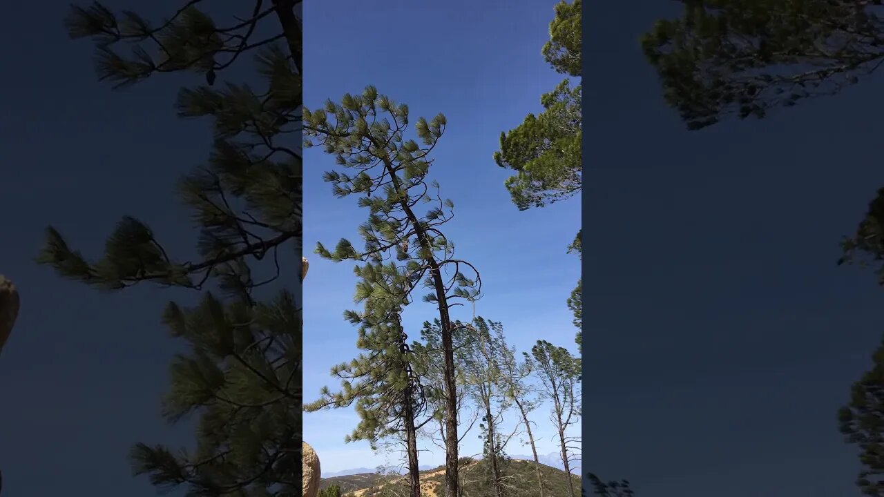 Windy Day on The Main Divide