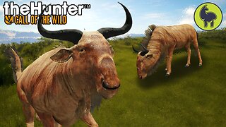 A Rare Sight, Hunt Club Beta | theHunter: Call of the Wild (PS5 4K 60FPS)