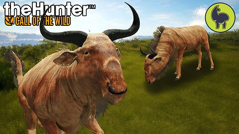 A Rare Sight, Hunt Club Beta | theHunter: Call of the Wild (PS5 4K 60FPS)