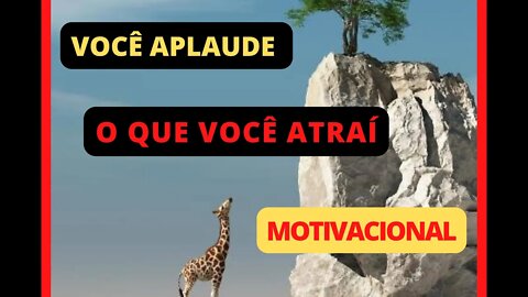 VOCÊ APLAUDE, O QUE VOCÊ ATRAI, MOTIVAÇÃO