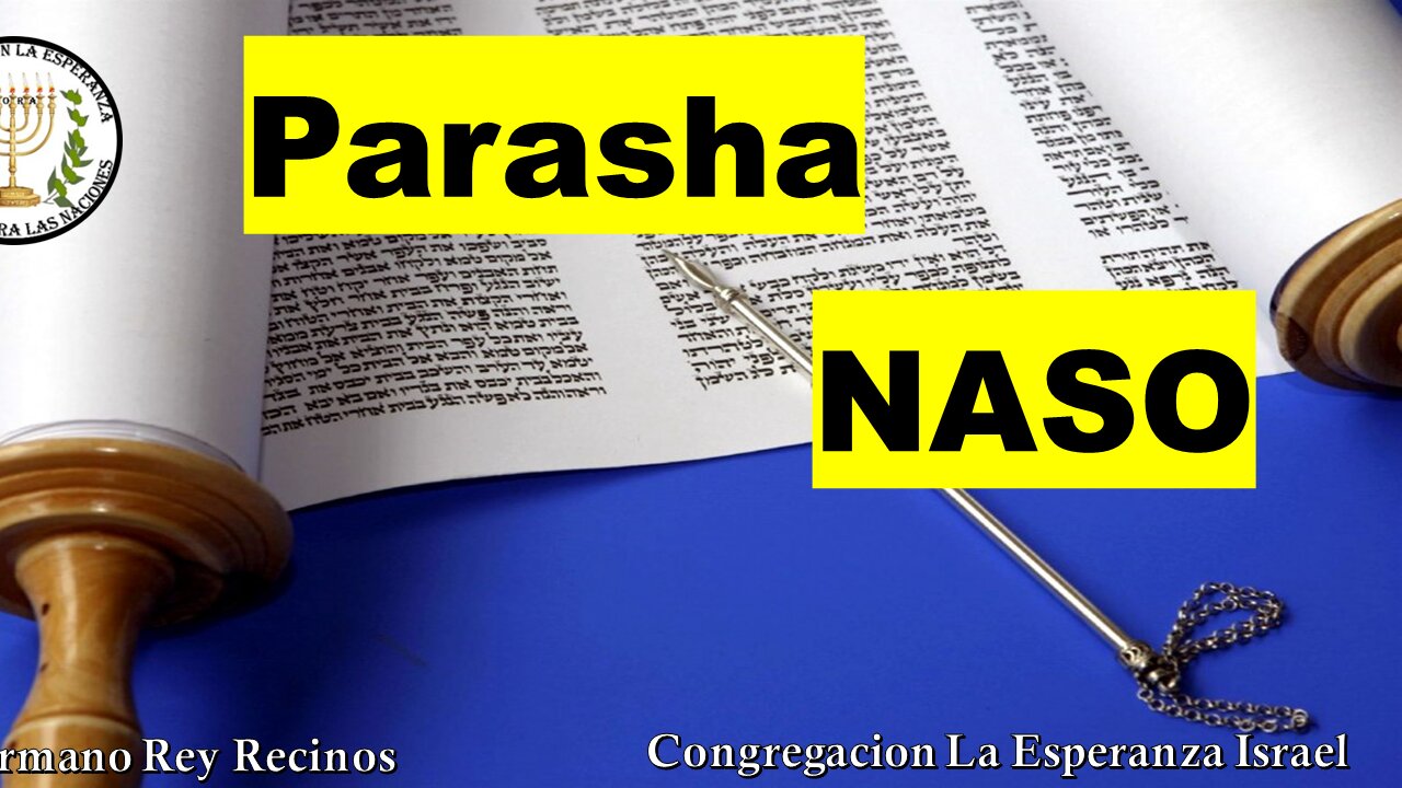 Prasha #35 Naso