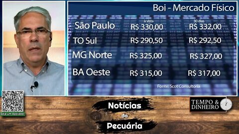 Boi gordo: B3 aponta R$ 340@ e mercado físico mostra firmeza.