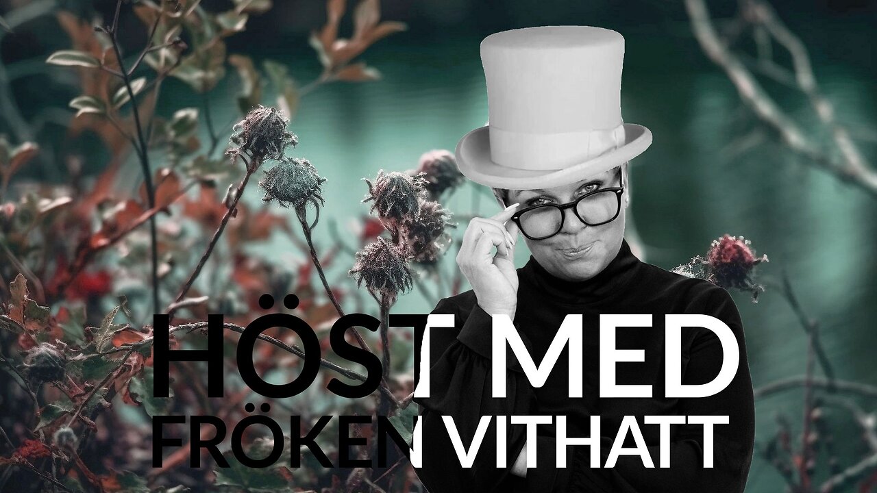 Live - Höst med fröken vithatt 18 sept - FNs kontroll