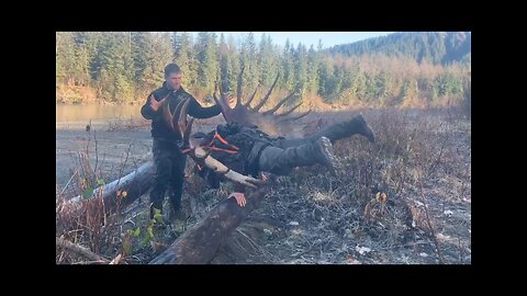 Planking with a Moose