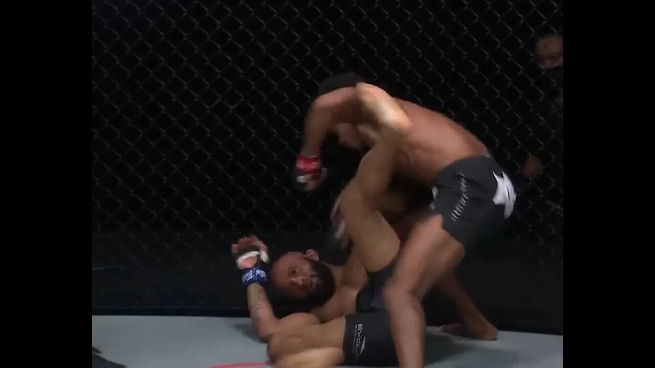 Adriano Moraes just TKO’d Demetrious Johnson in the second round.