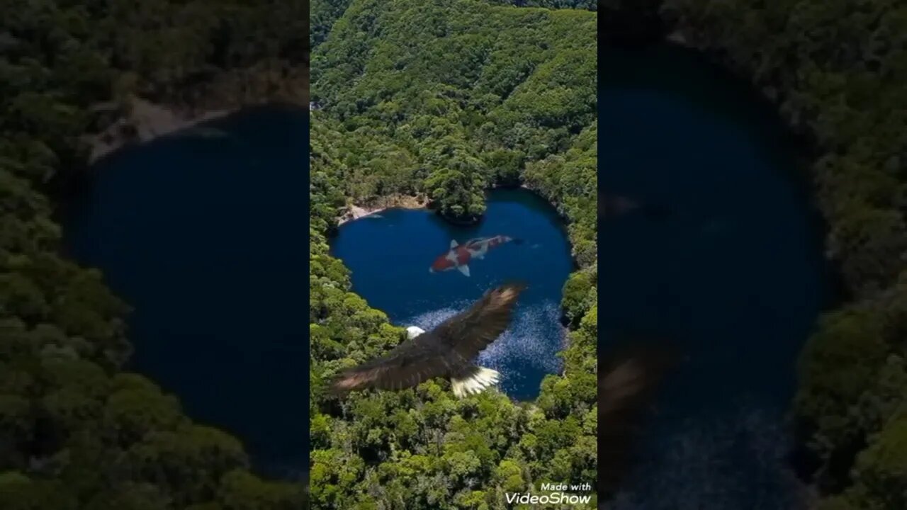 Amazing views video