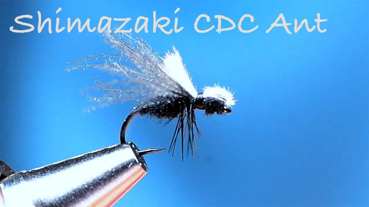 Shimazaki CDC Ant Fly Tying Instructions - Tied by Charlie Craven