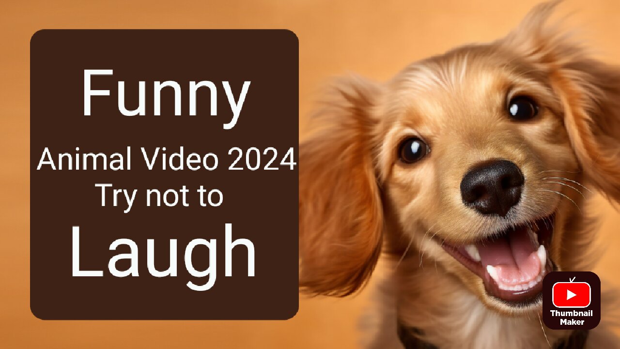 Funny Animal video 2024