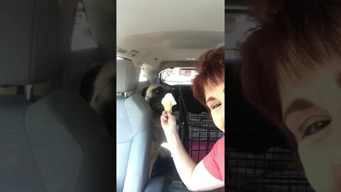 LonelyCreek Legacy n his ice cream