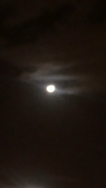 I wouldn’t believe it if I didn’t see it with my own eyes