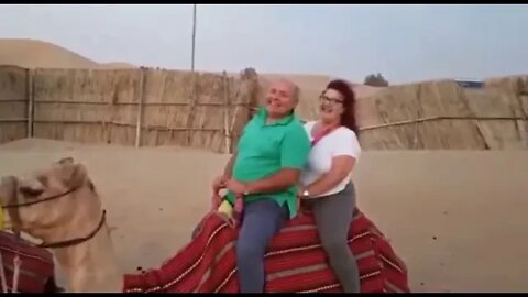 O Camelo Não Aguentou!