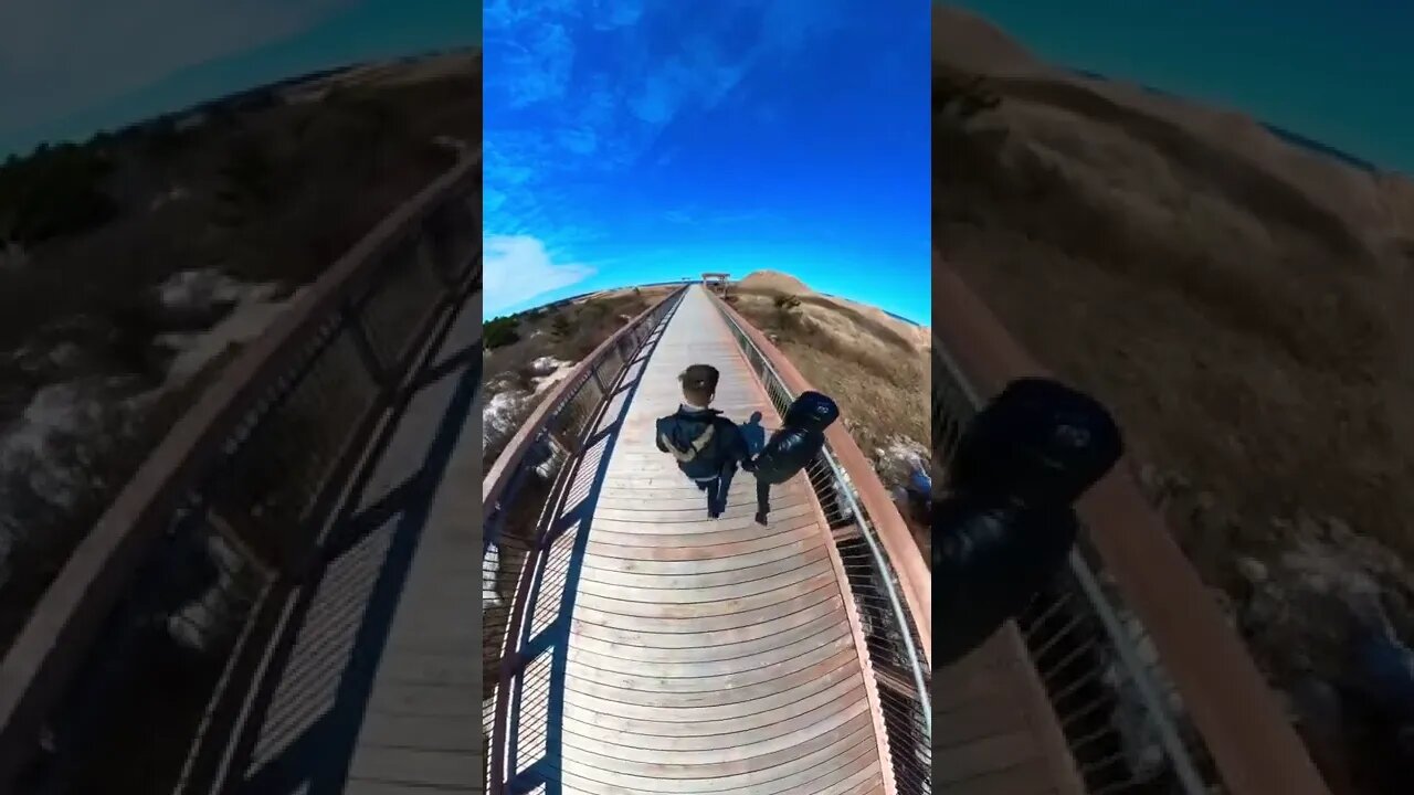 Going for a walk to the beach 🏖