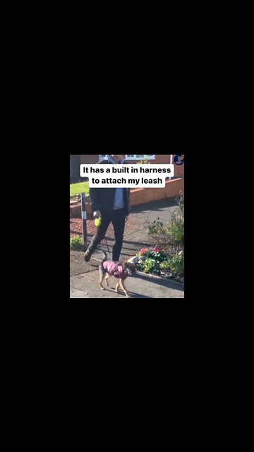 Our most prominent shortcoming lies in surrendering. The most certain method for succeeding