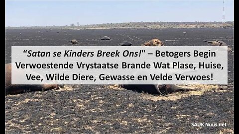 "Satan se Kinders Breek Ons!" Betogers Begin Verwoestende Vrystaatse Brand Wat Plase & Diere Afbrand