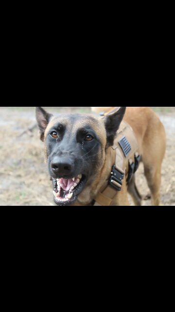 I saw this trend and said "I'mma crush this"