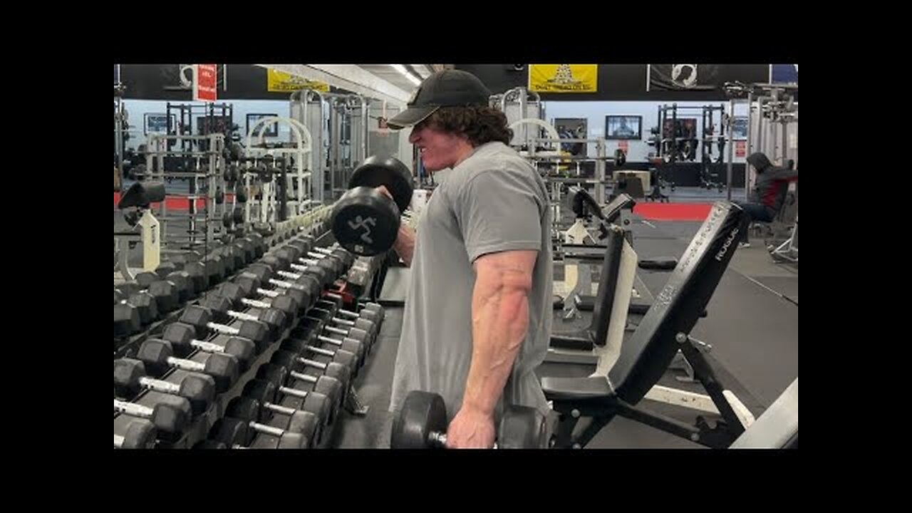 Spring Bulk Day 70 - Arms