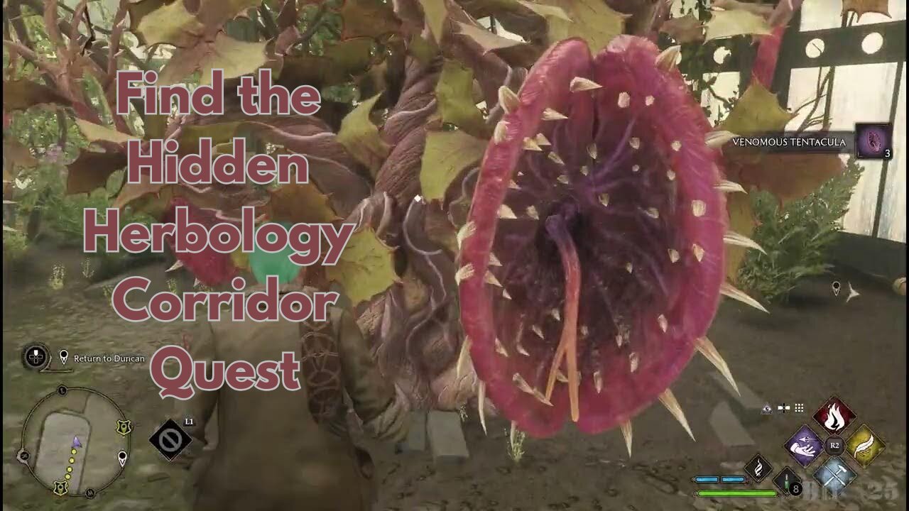 Hogwarts Legacy | Find the Entrance to the Hidden Herbology Quest