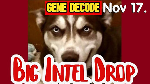 Gene Decode DUMBS Intel 11.17.2Q23