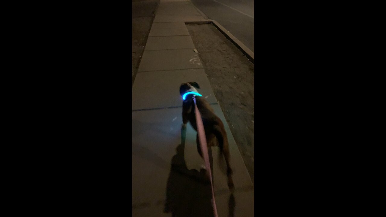 Walkin Chloe Jo nite