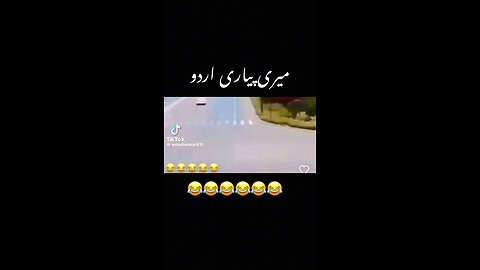 Meri pyree Urdu 😁😁😁😁